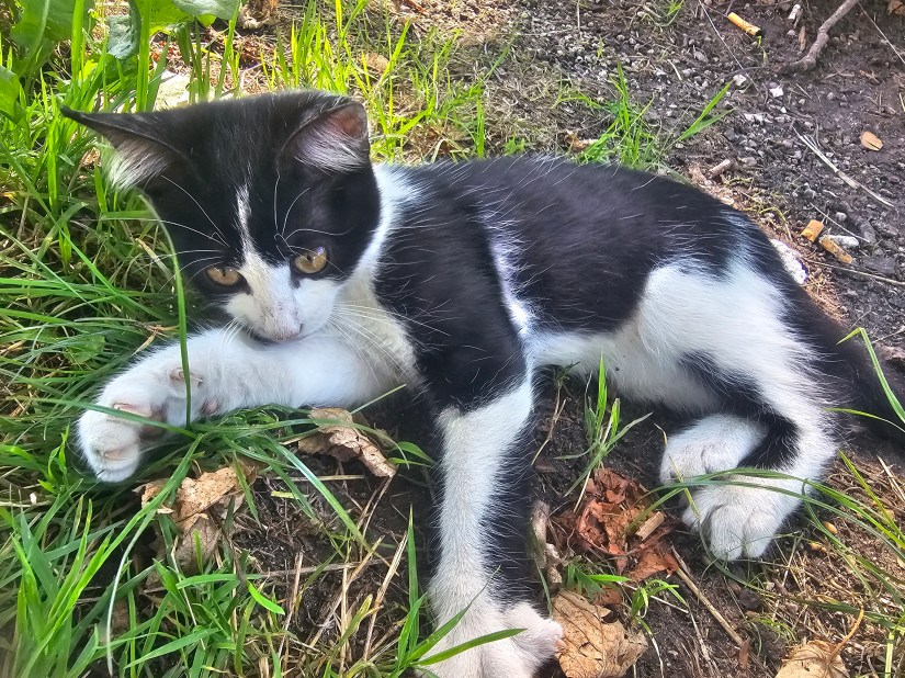 blog nasveti za boljse odnose Svetovalno Terapevtski Center Veselje Do Življenja